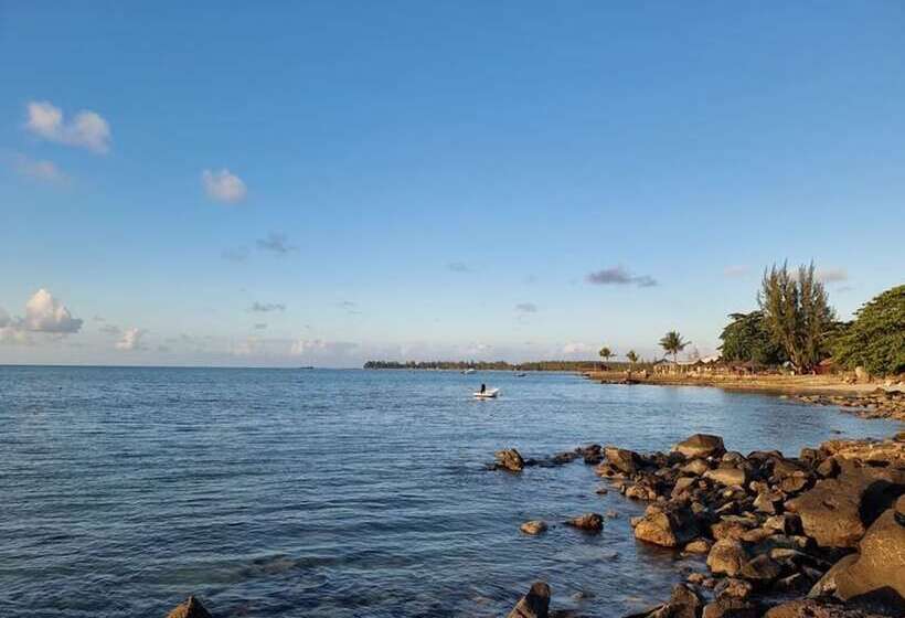 پانسیون Studio Solitaire Ideal For Two Adults