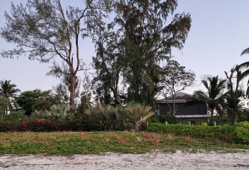 پانسیون Studio Solitaire Ideal For Two Adults