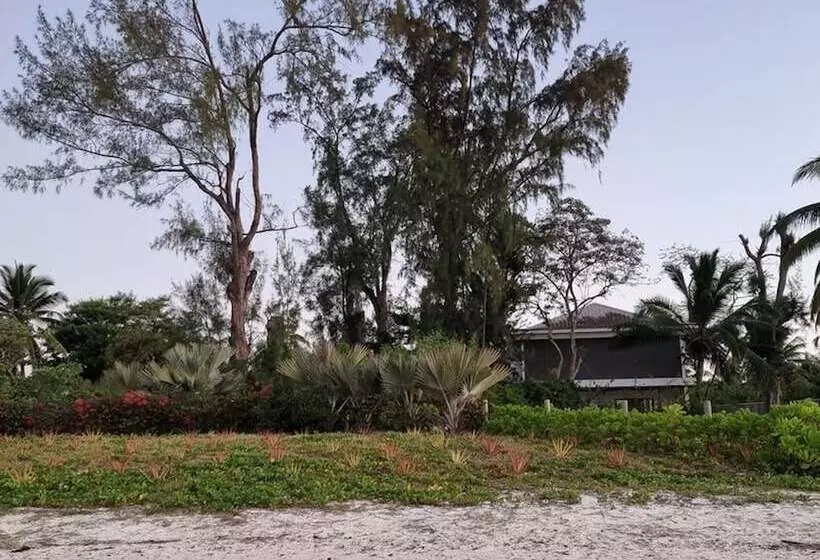 پانسیون Studio Solitaire Ideal For Two Adults