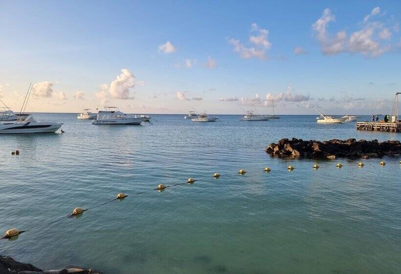 پانسیون Studio Solitaire Ideal For Two Adults