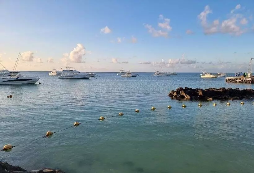 پانسیون Studio Solitaire Ideal For Two Adults