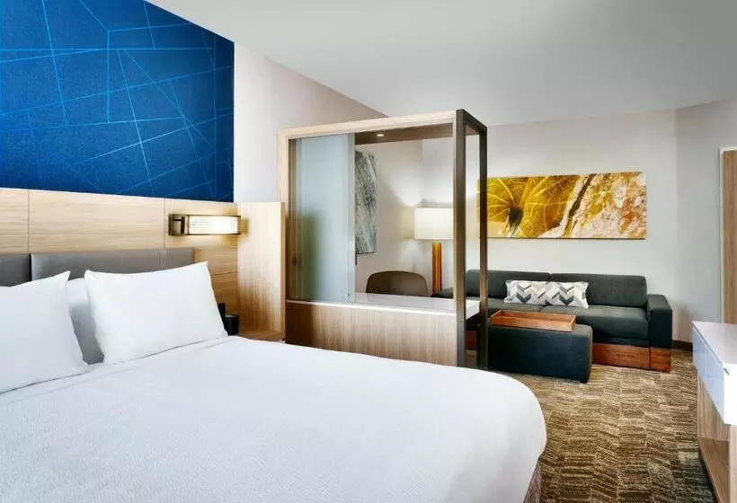 ホテル Springhill Suites By Marriott Cottonwood