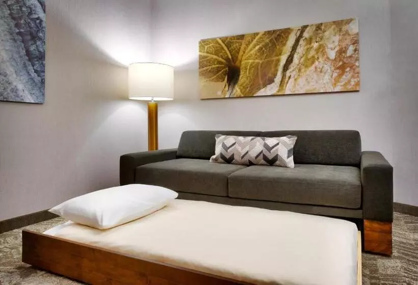 ホテル Springhill Suites By Marriott Cottonwood