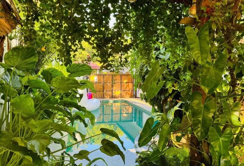 پانسیون Double Mango Villa