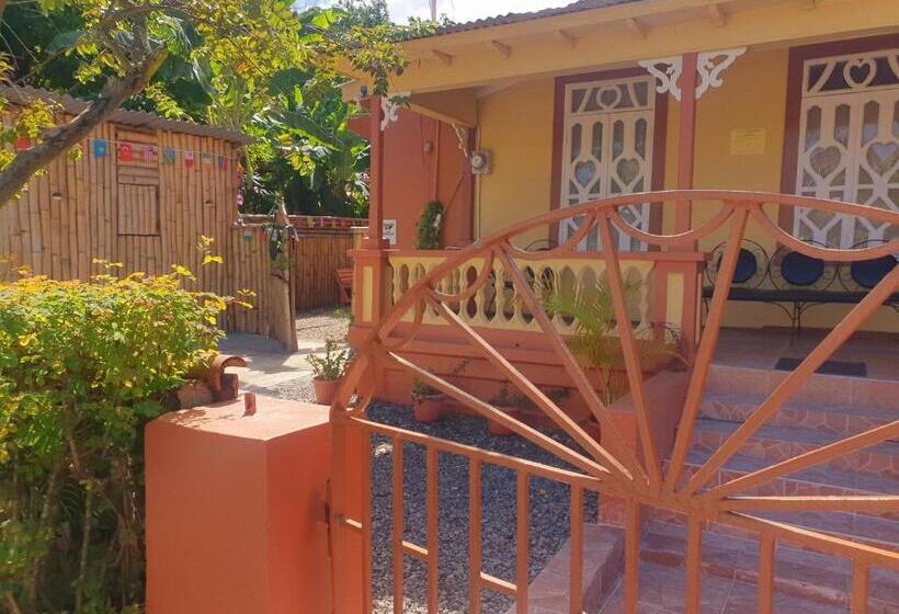 پانسیون Mesmerize Guest House