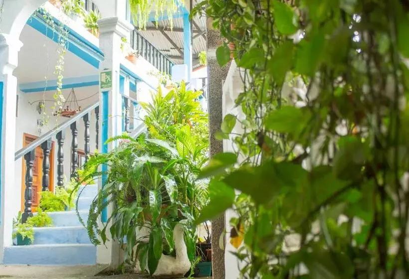 پانسیون Rabin Itzam