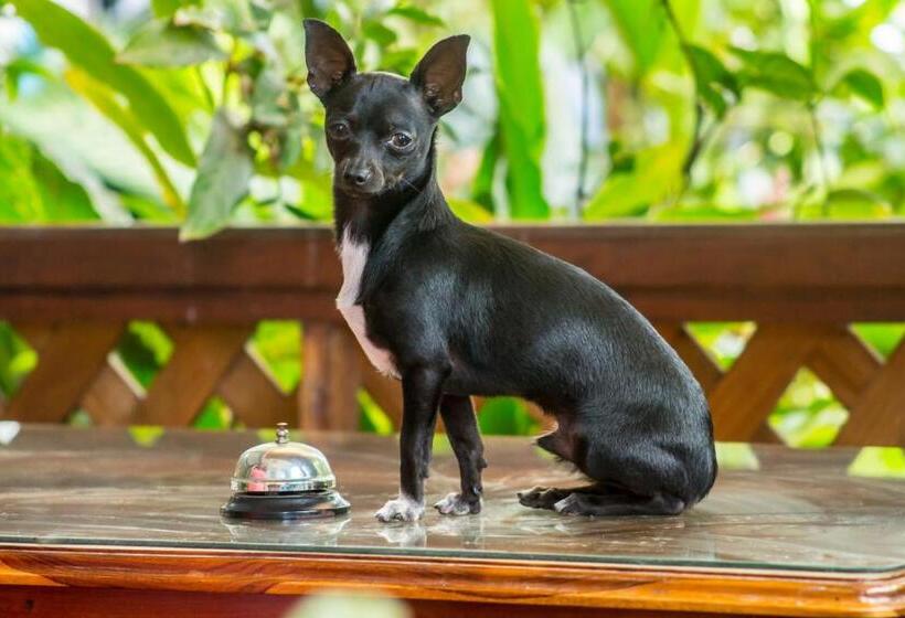 پانسیون Rabin Itzam