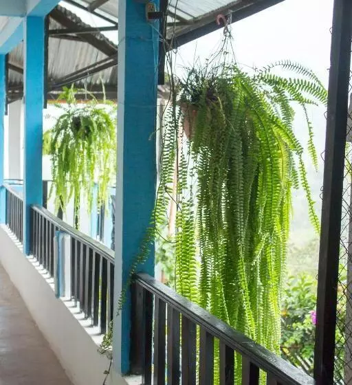 پانسیون Rabin Itzam