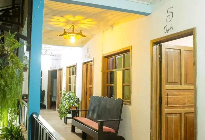 پانسیون Rabin Itzam