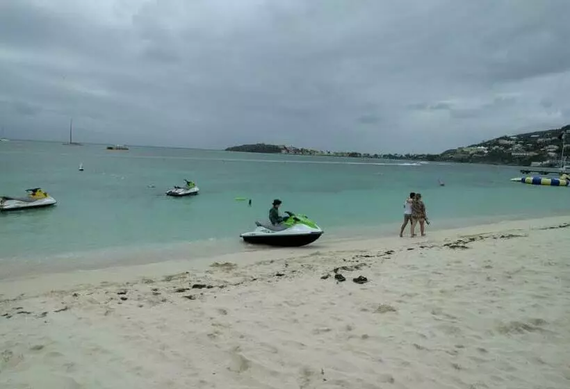 تختخواب و صبحانه Calinago Friendly Family Sxm