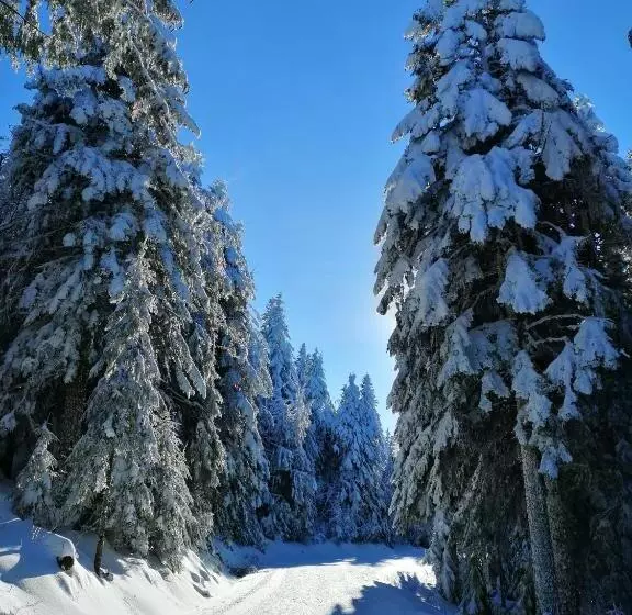 Aamiaismajoitus (B&B) Chambres Et Table D Hôtes Régord âne