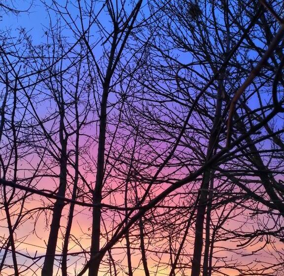 مبيت وإفطار Chambres Et Table D Hôtes Régord âne