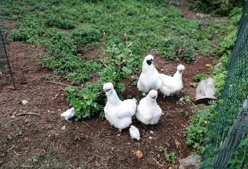 Aamiaismajoitus (B&B) Chambres Et Table D Hôtes Régord âne