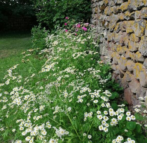 مبيت وإفطار Chambres Et Table D Hôtes Régord âne