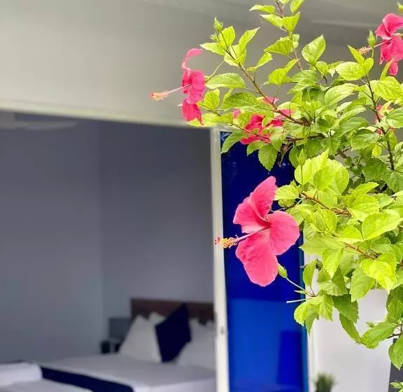 تختخواب و صبحانه Tides Dhigurah