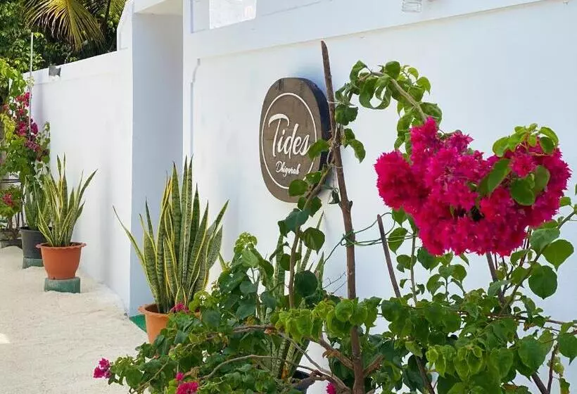 تختخواب و صبحانه Tides Dhigurah