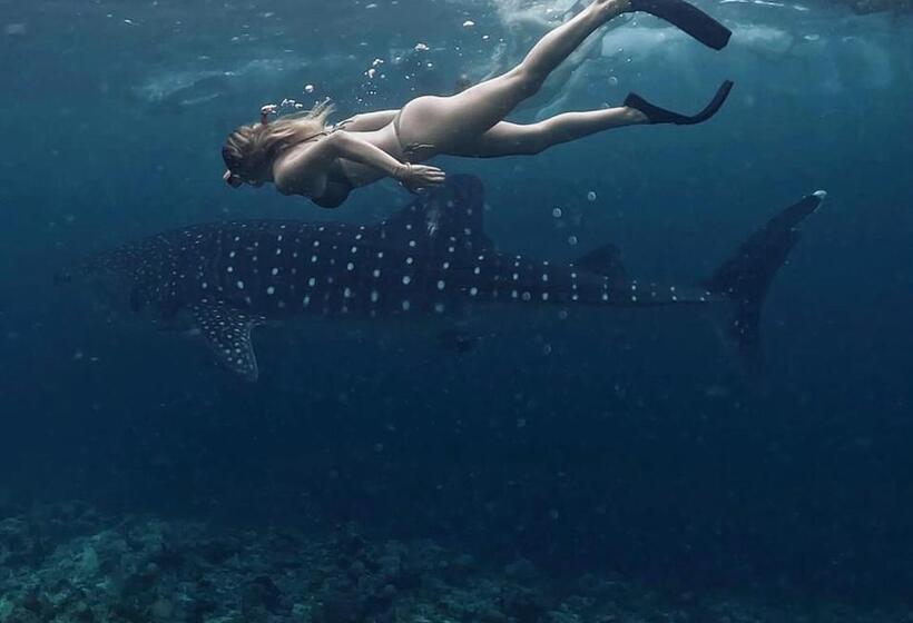 تختخواب و صبحانه Tides Dhigurah