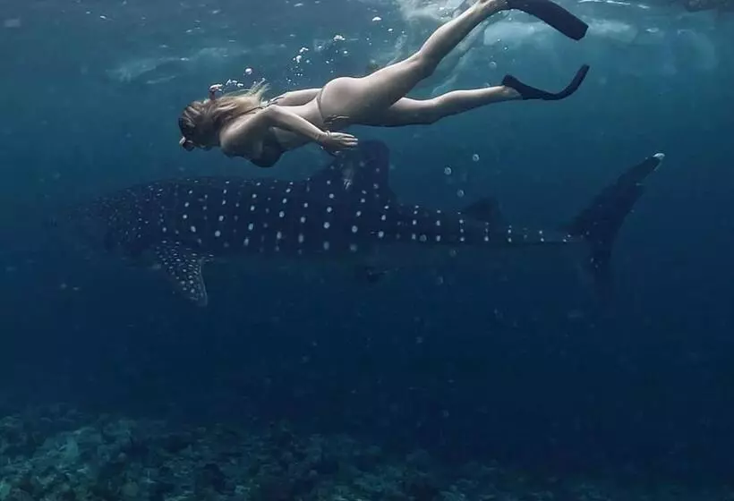 تختخواب و صبحانه Tides Dhigurah