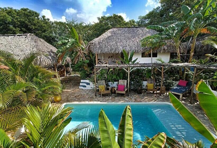 هتل Cabañas Puesta Del Sol