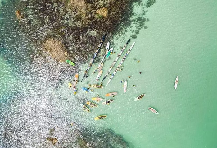 ホテル Ipioca Beach Resort Maceió