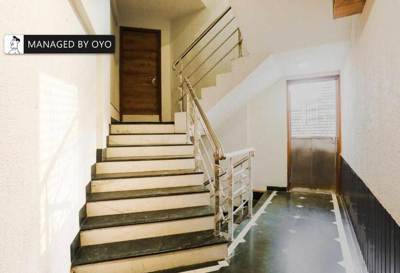 호텔 Super Townhouse Oak Vashi Formerly Blue Diamond