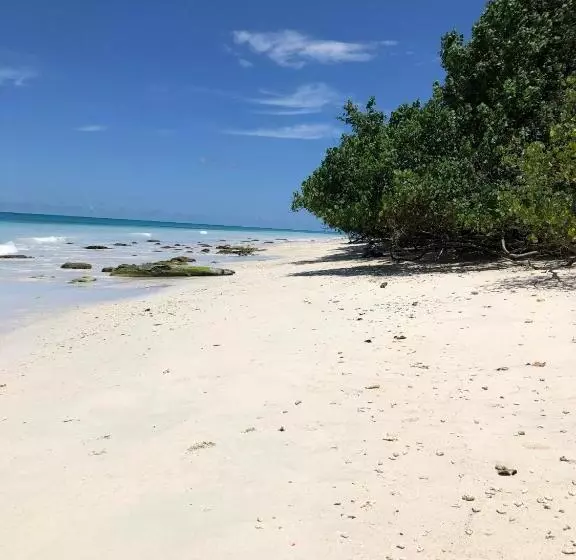 Lomakeskus Tilar Siro Andamans   A Cgh Earth Experience