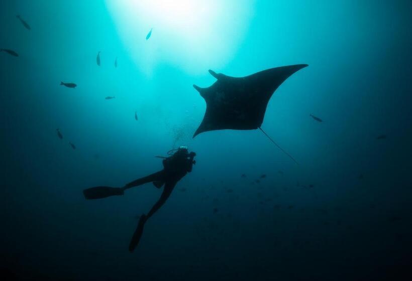 Kurort Tilar Siro Andamans A Cgh Earth Experience