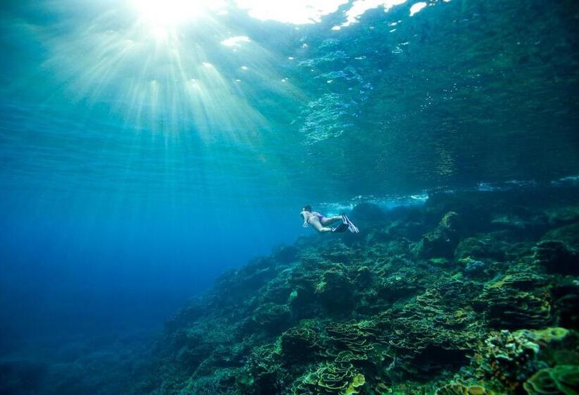 Kurort Tilar Siro Andamans A Cgh Earth Experience