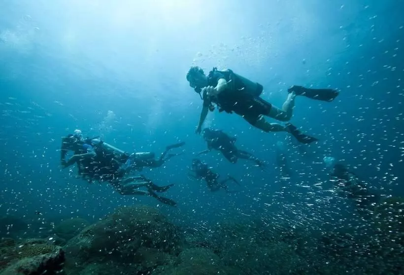 Lomakeskus Tilar Siro Andamans   A Cgh Earth Experience