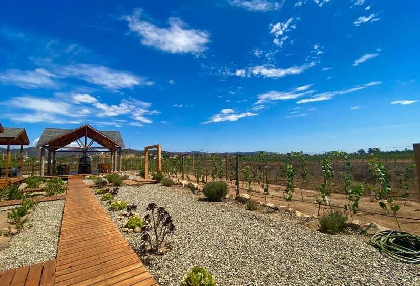 مبيت وإفطار Tres Vides Hotel Boutique