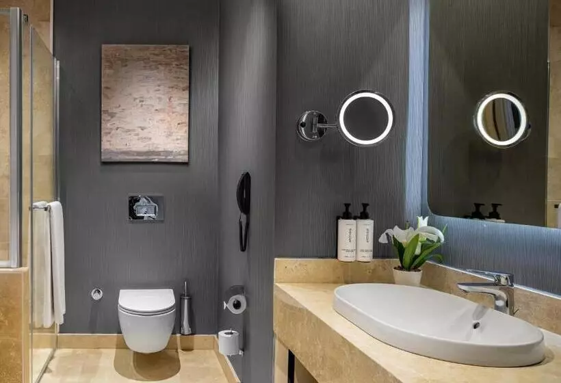 ホテル Crowne Plaza   Istanbul Tuzla Viaport Marina, An Ihg