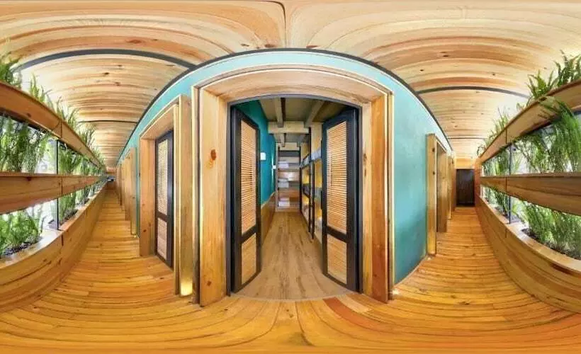 پانسیون Mexico Hostel