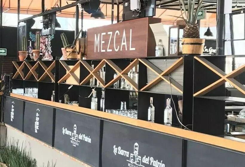 پانسیون Mexico Hostel