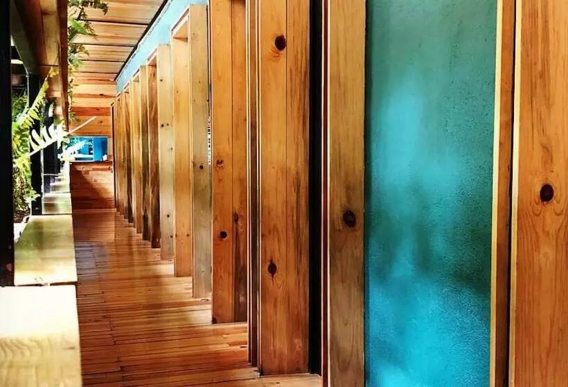 پانسیون Mexico Hostel