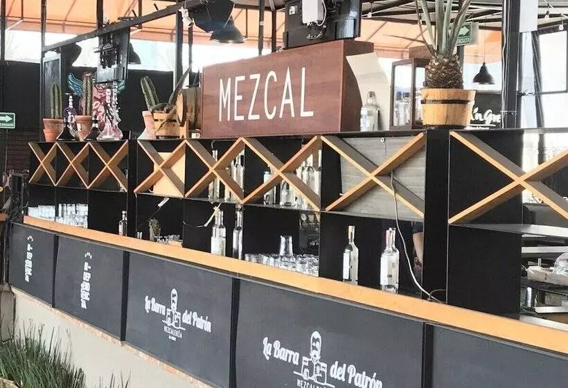 پانسیون Mexico Hostel