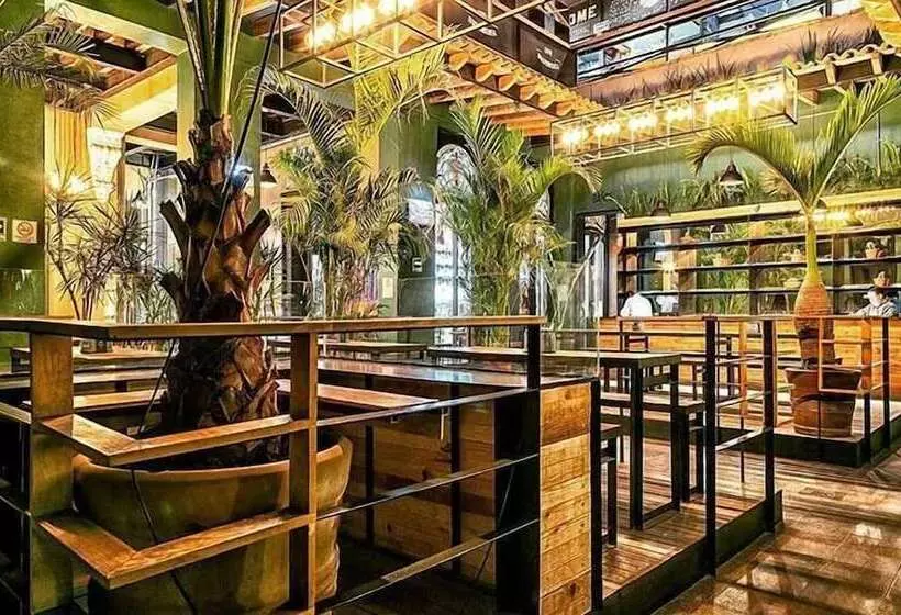 پانسیون Mexico Hostel