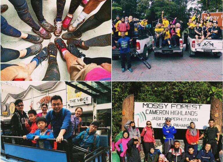 Hotel-cápsula The Cocoon Capsule