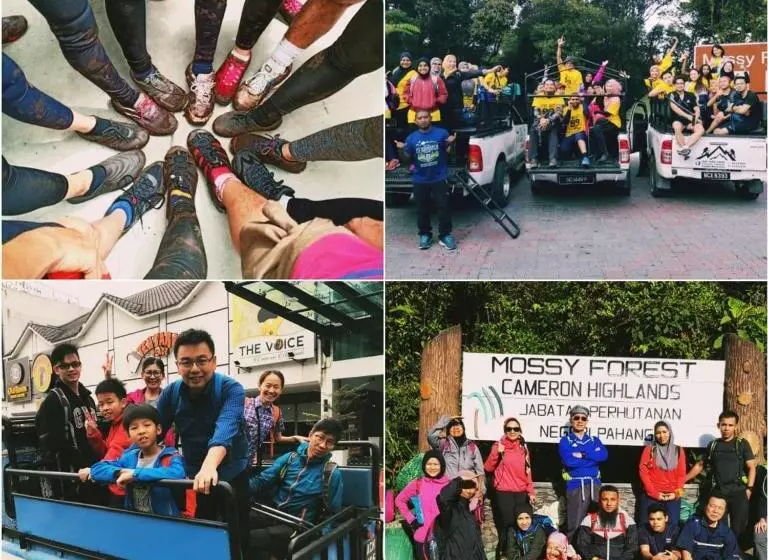 Kapselihotelli The Cocoon Capsule