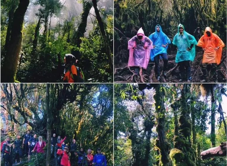 Kapselihotelli The Cocoon Capsule