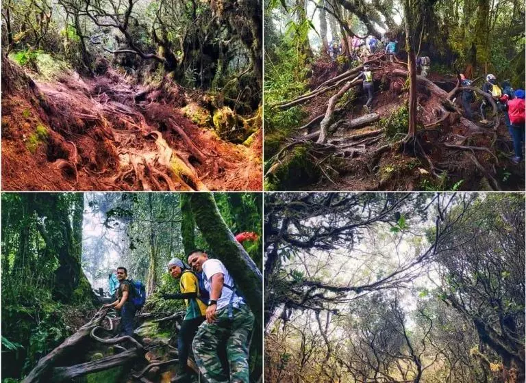 Kapselihotelli The Cocoon Capsule