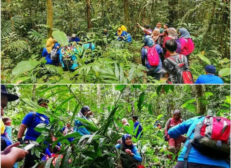 Kapselihotelli The Cocoon Capsule