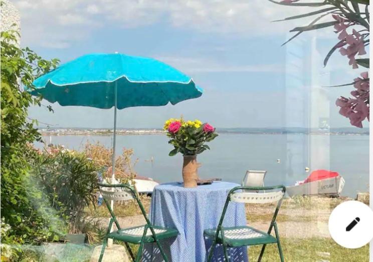 پانسیون Cabanon De Pêcheur En Bord De Lagune