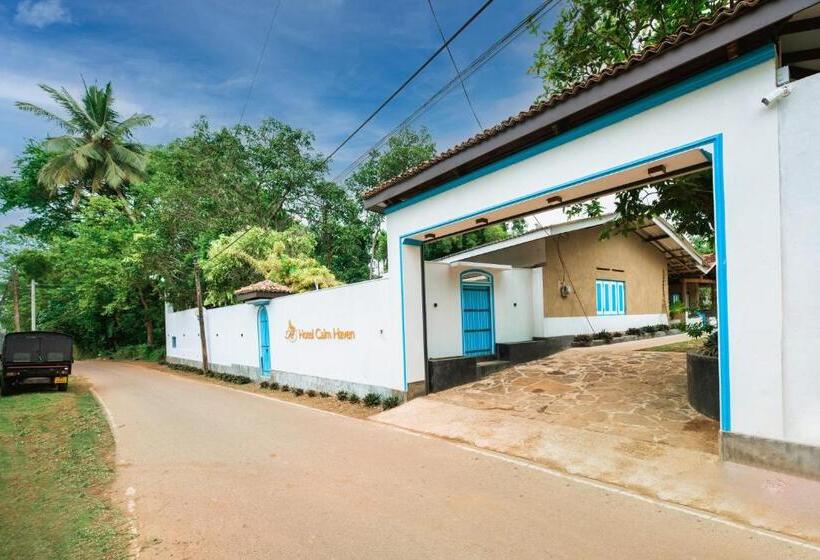 بنسيون Calm Haven