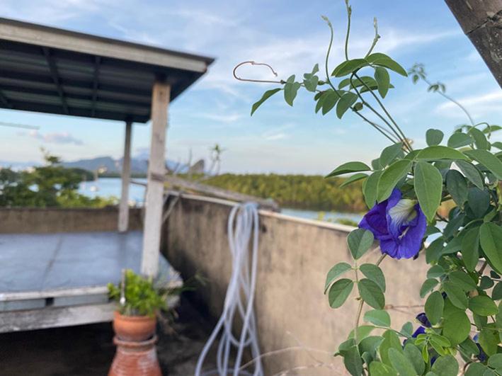 פנסיון Smile Guesthouse Krabi