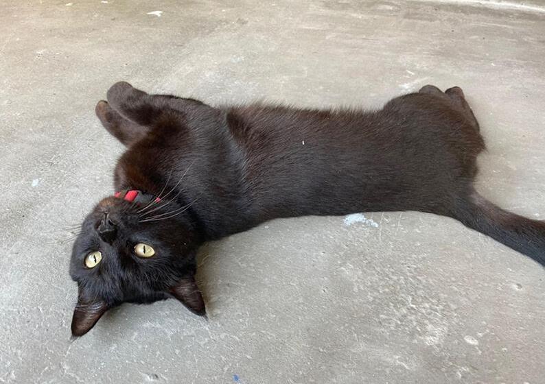 פנסיון Smile Guesthouse Krabi