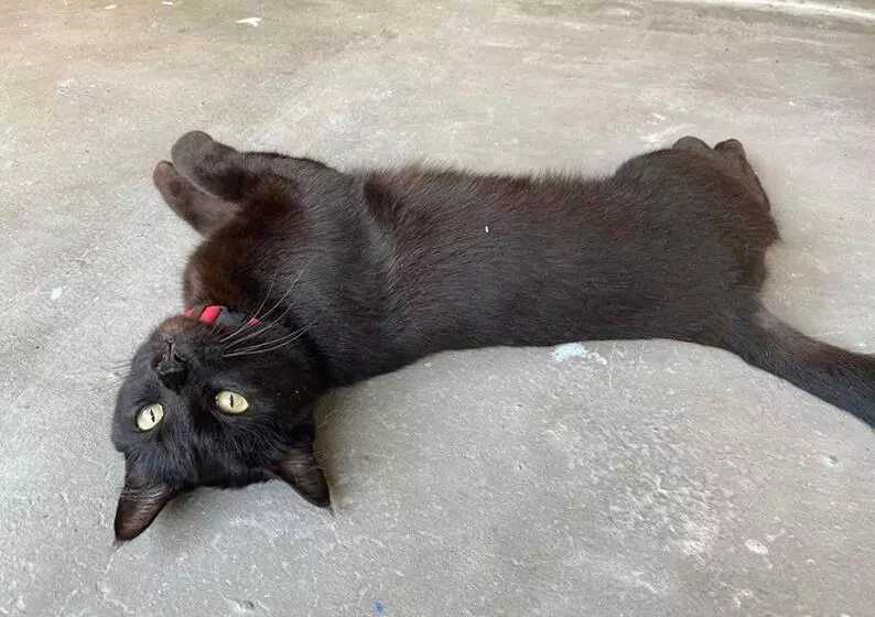 Majatalo Smile Guesthouse Krabi