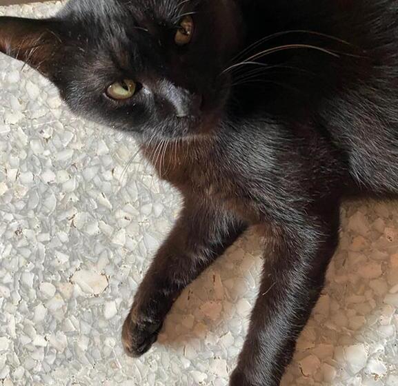 פנסיון Smile Guesthouse Krabi