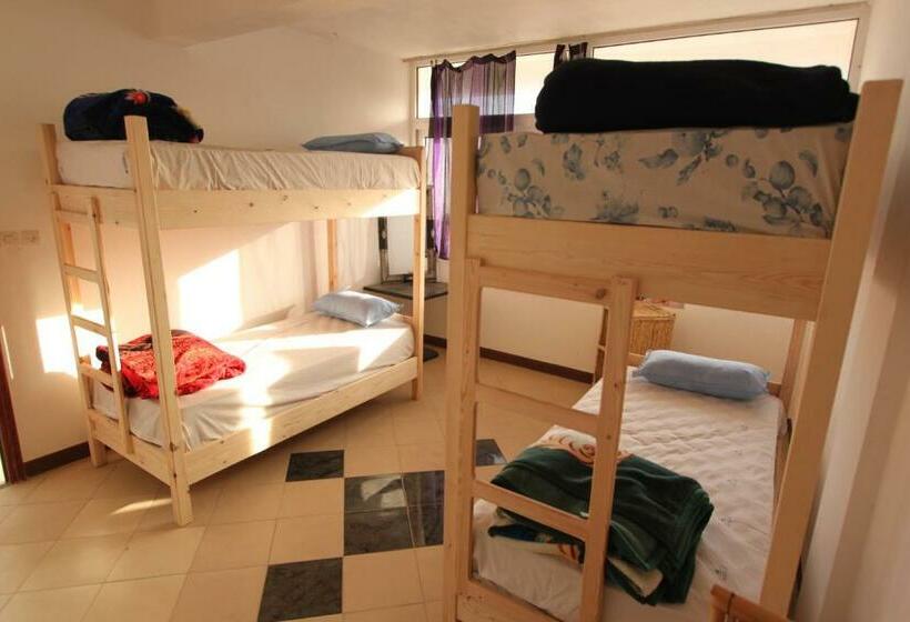 فندق صغير Puppyblue