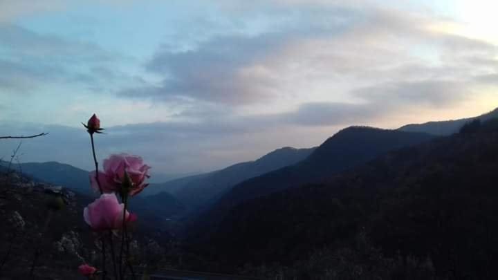 ベッドアンドブレックファースト Il Girasole ...at Andorus  House