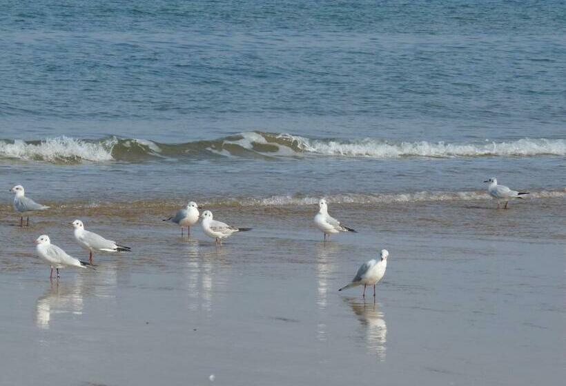 تختخواب و صبحانه Le Petit Grenier